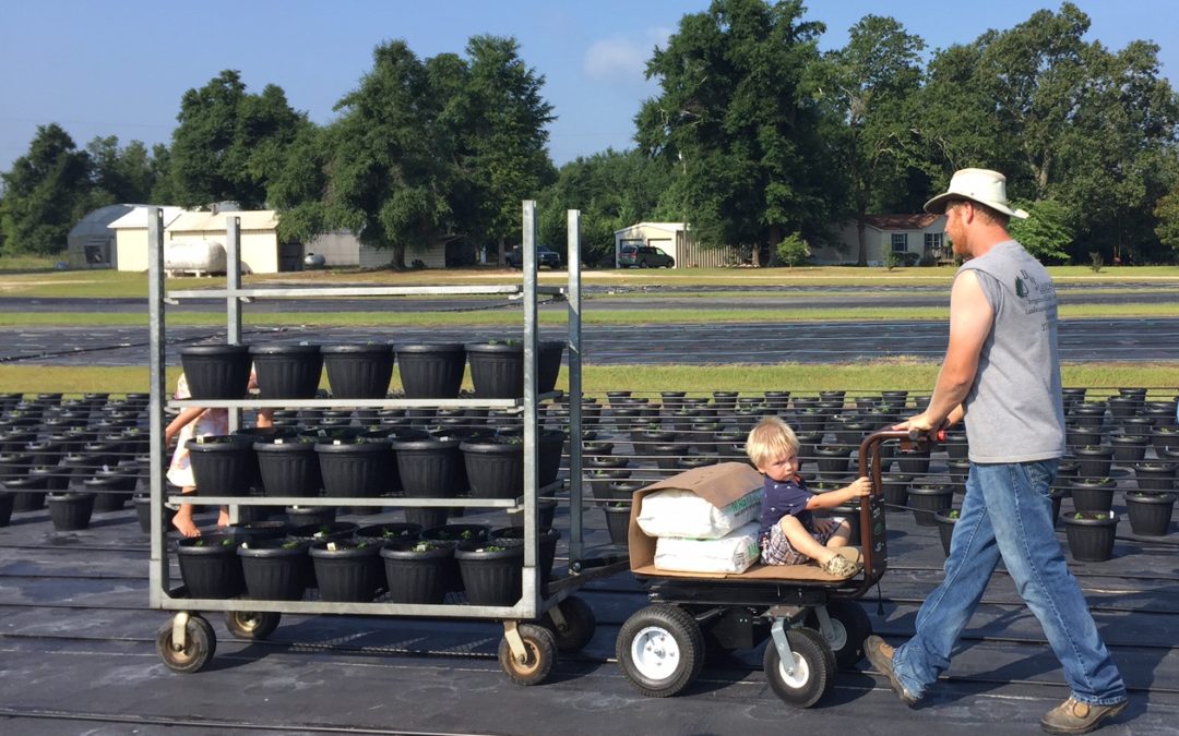 Overland Cart Testimonial: Shady Creek Greenhouse